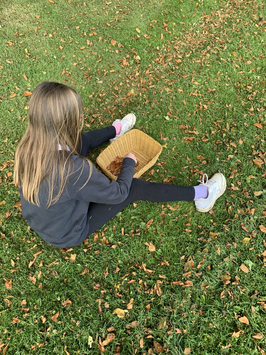 Ceres Primary School tweet media