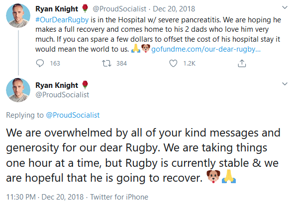 Before the GoFundMe, Ryan occasionally tweeted about his dogs, especially Rugby, and then after the GoFundMe he tweeted several times about Rugby and then he stopped. When his followers were no longer paying attention Rugby just vanished... More here:  https://twitter.com/search?q=rugby%20(from%3Aproudsocialist)&src=typed_query&f=live