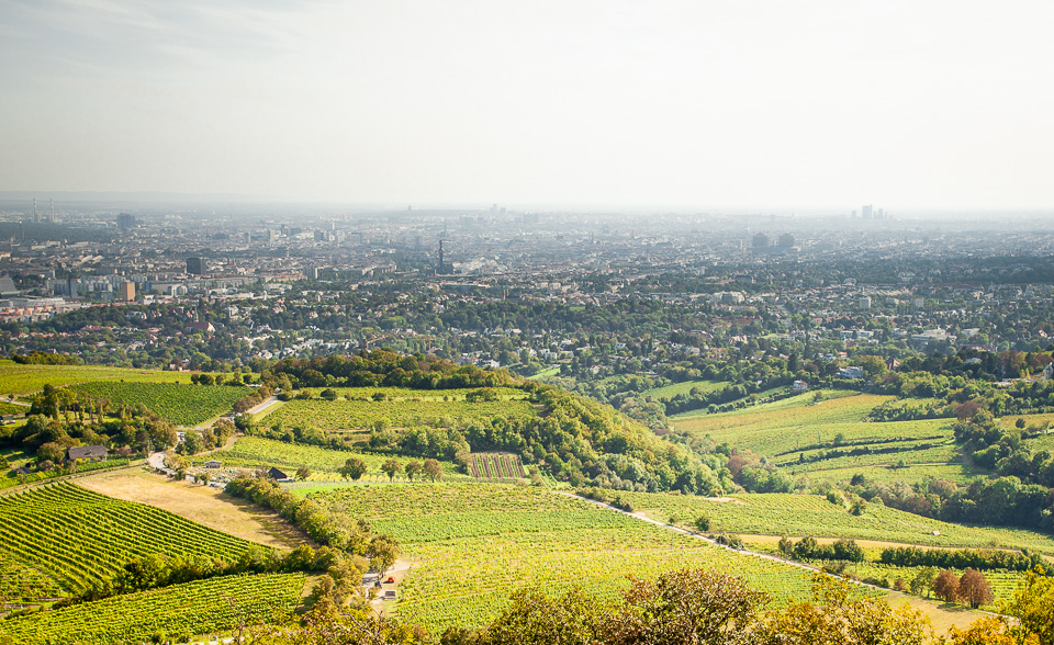 Wie aus einer fidelen Bergziege ein schnaufender Flachlandtiroler wurde. fotos.koma-medien.de/laufen-sag-ma-…