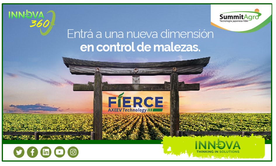 IAgroservicios's tweet photo. En Innova360, @SummitAgroAr dirá presente con una dimensión sustentable y eficiente en el control, podrás aprender mucho sobre esta gran problemática que nos traen las malezas difíciles.
#Fierce #herbicidas #sustentabilidad #control #innova360 #thinkinginsolutions https://t.co/3nAWslKiGB