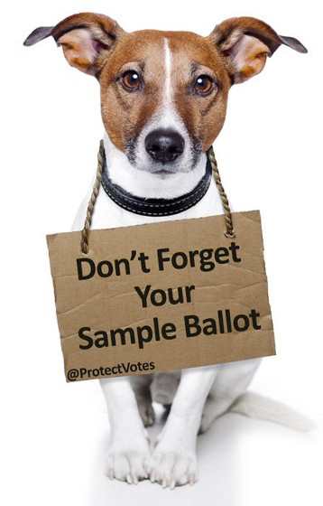 All Ds should also know to bring their completed sample ballots w/ them to the polls. Look for it on your county election website. Alternatively, check  http://ballotpedia.org . 6/