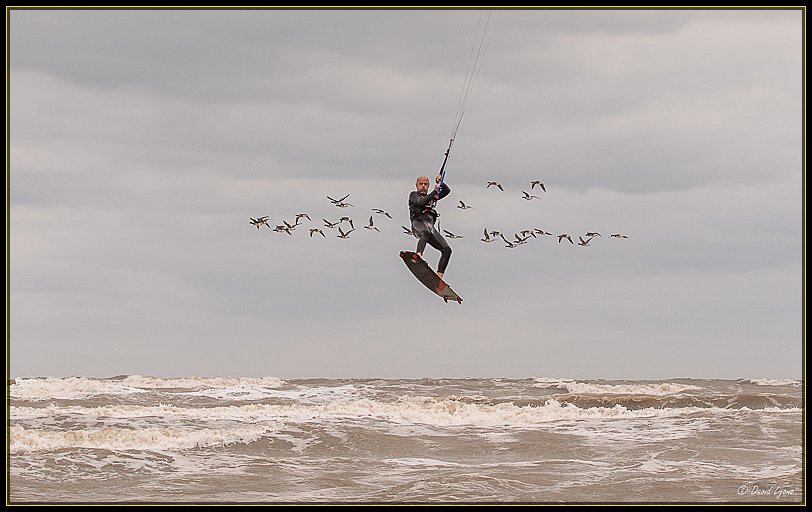 Away with the birds........#kitesurfing #birds #birdphotography <a href="/PureMagicKite/">PureMagic Watersport</a>