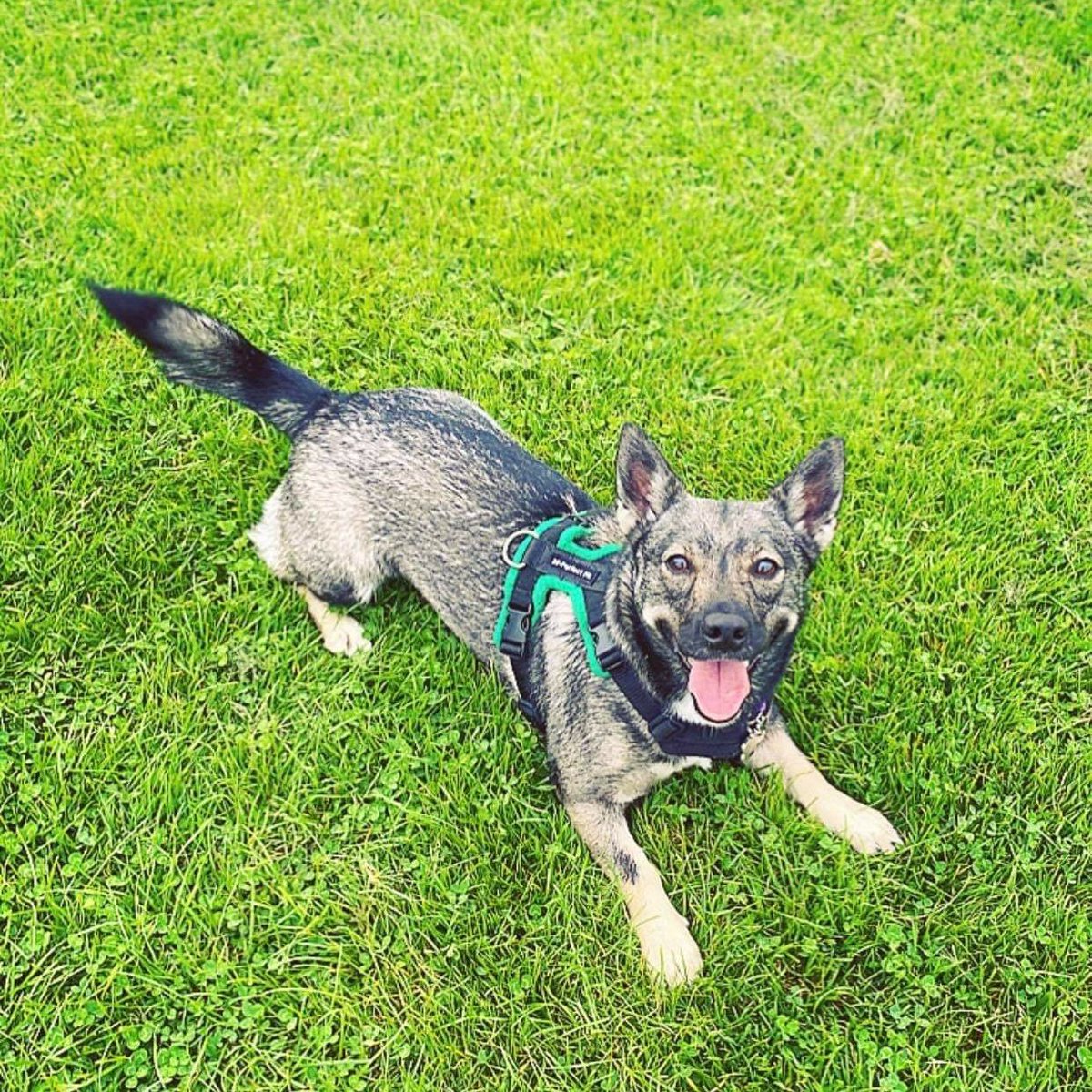 Ruanticx's tweet image. #NewProfilePic