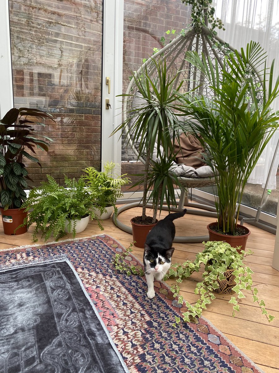 My room/art studio vibes >>