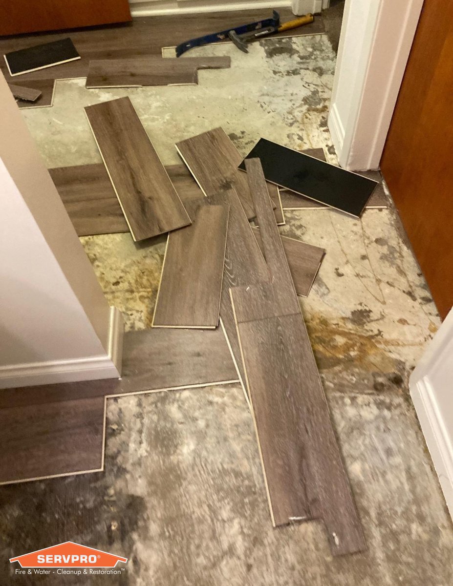 ServproWhittier's tweet photo. A water loss in a residential home has damaged multiple rooms. The cause of the loss was detected from a pipe leak under a sink. Water damage on affected areas are in process of mitigation to remove laminate floor. 

Call us today! (562)698-5368
#WaterDamage
#Residential https://t.co/KyM17yU0Pr