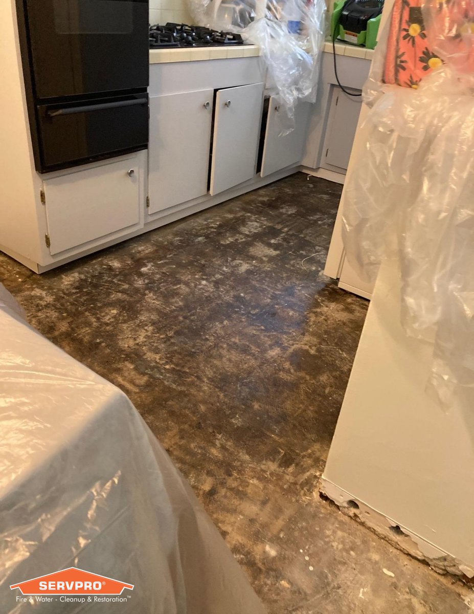 ServproWhittier's tweet photo. A water loss in a residential home has damaged multiple rooms. The cause of the loss was detected from a pipe leak under a sink. Water damage on affected areas are in process of mitigation to remove laminate floor. 

Call us today! (562)698-5368
#WaterDamage
#Residential https://t.co/KyM17yU0Pr