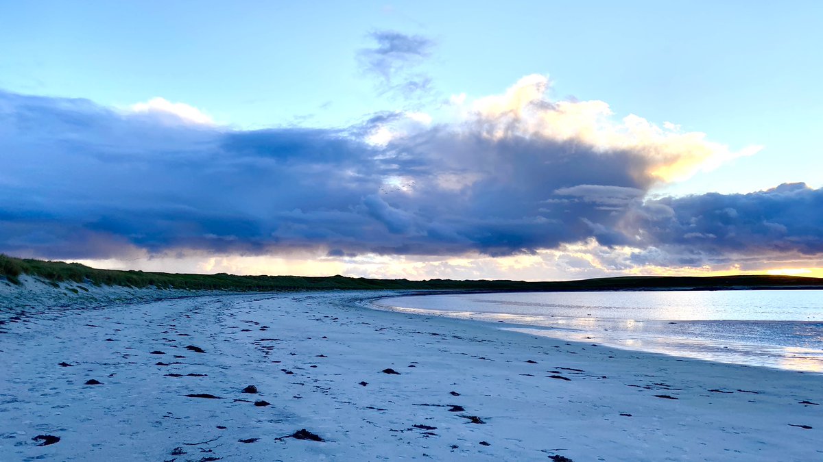 Pete Winn tweet media