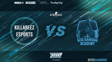 SFD-Gaming tweet media