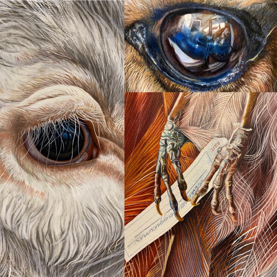 ushawdurham's tweet photo. Our #Relics Art Exhibition is getting rave reviews, you definitely don't want to miss it! Open Thursday to Sunday 1pm-4pm
https://t.co/iai5JyAhSJ
#Feelsafeatushaw #socialdistancing #markfairnington #naturalhistory https://t.co/br3jPbI9gl