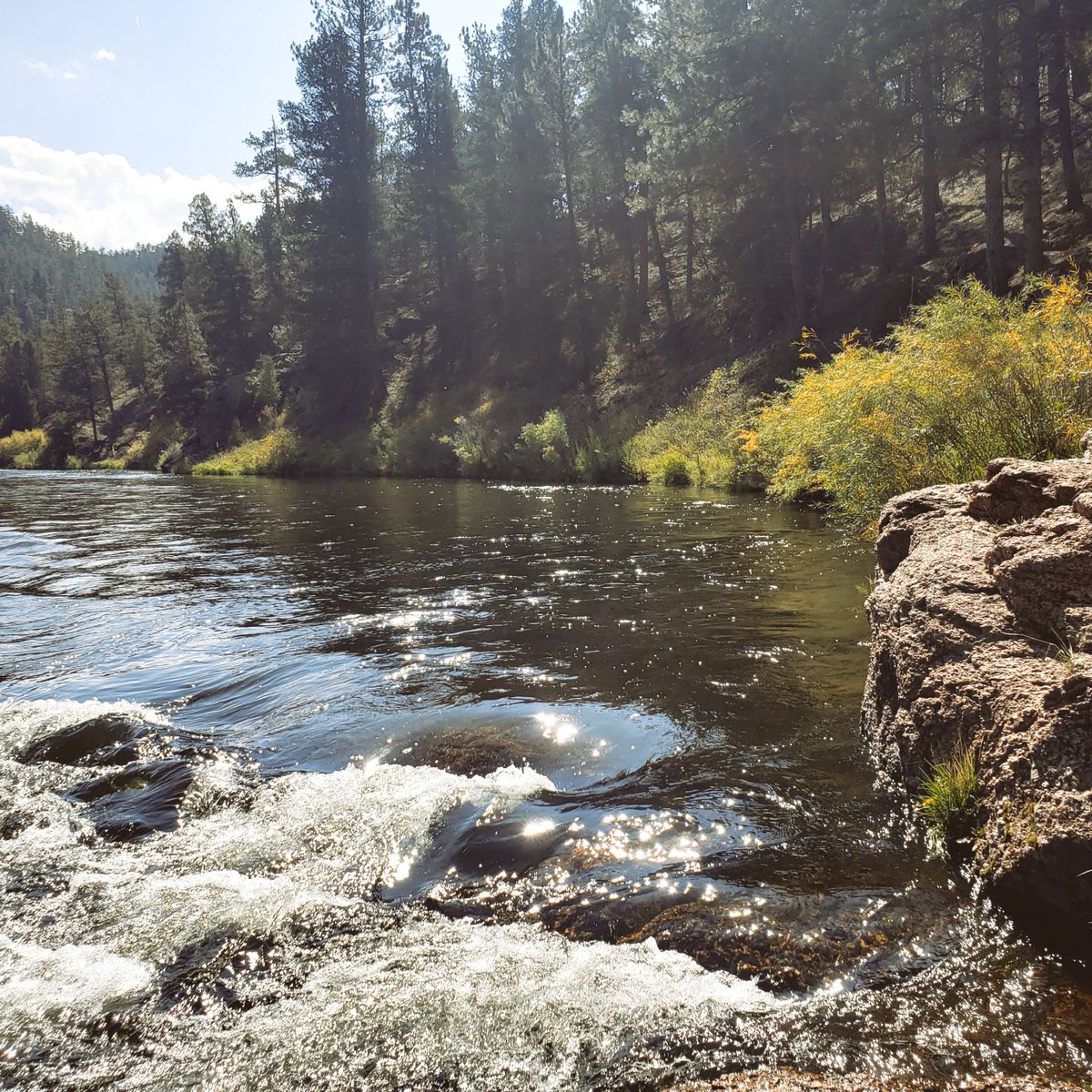 SouthernLilly1's tweet photo. Fall is finally here! A little later and warmer than usual but we're still excited to see the leaves starting to change 😀
#Colorado #lovethemountians #restaurant #riverlife #Camping #endoftheseason #Fall2020 #mountains #glutenfree https://t.co/i2kYjt9SHB