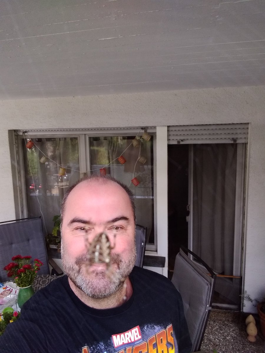 RalfBoscher's tweet photo. Ein spinnerstes Jahr bisher, mit ner Menge Helden (nicht @Marvel) und ner Menge #Balkonien. Ich lächle in der milden Abendluft. Kannst kommen Herbst https://t.co/fTep10D13O