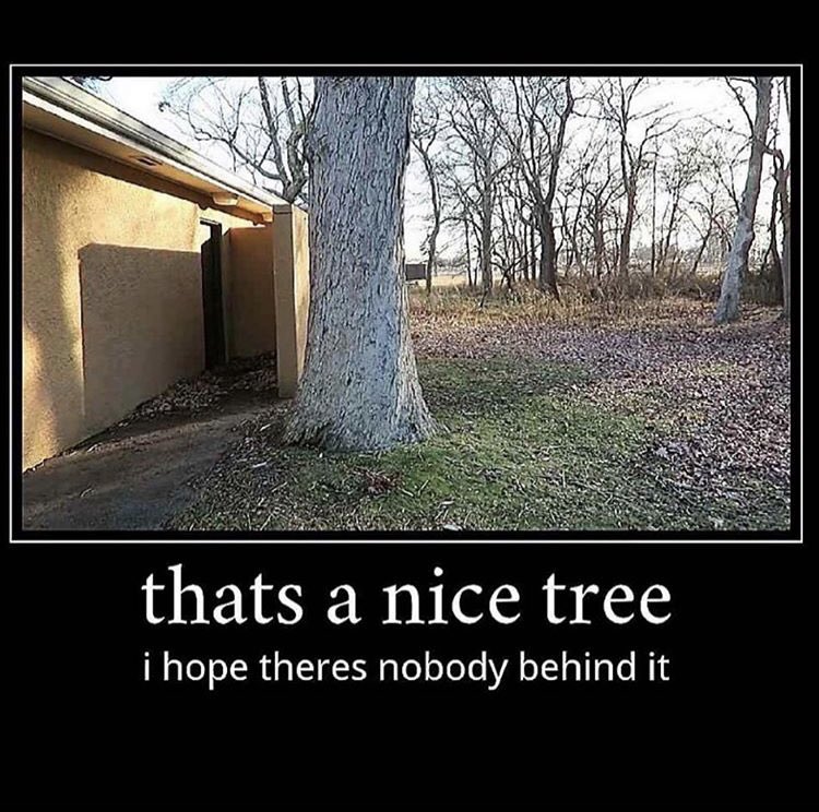 YSL (young shoota life) tweet media