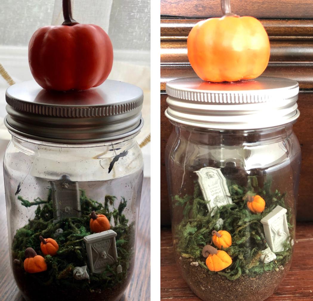 Book Club Update and Cemeterrarium Information conta.cc/304pCSb