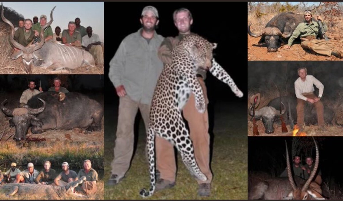  #DonaldTrumpJr  #hunting  #GriftersInTheWhiteHouse  #TrumpsKids THREAD https://twitter.com/CREWcrew/status/1281030473519636480?s=19