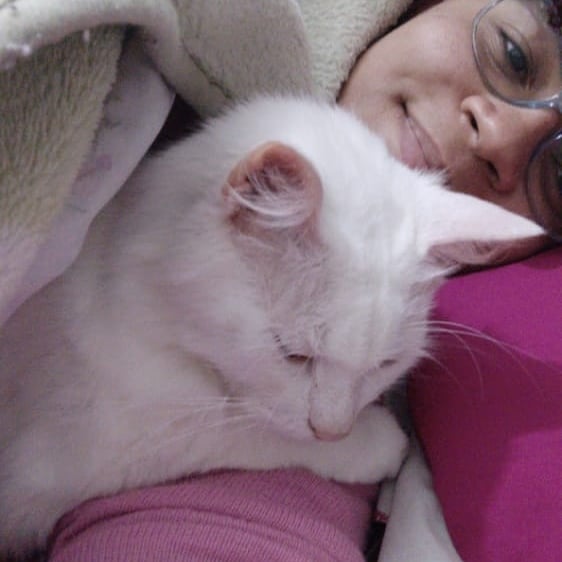 KawaneyS's tweet photo. Quero desejar um feliz dia do filho para os meu dois eternos filhos de quatro patas 💙 Estrela e Magu 🥰💙

#diadofilho #diadafilha #filhadequatropatas #filhodequatropatas #cats #gatos #maedegatos #maedegata #maedegato #meubebes #minhaveinhabraba #magu #estrela https://t.co/k75E428y9A