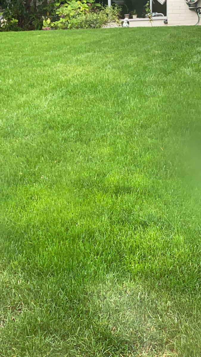 Ome Arias tweet media