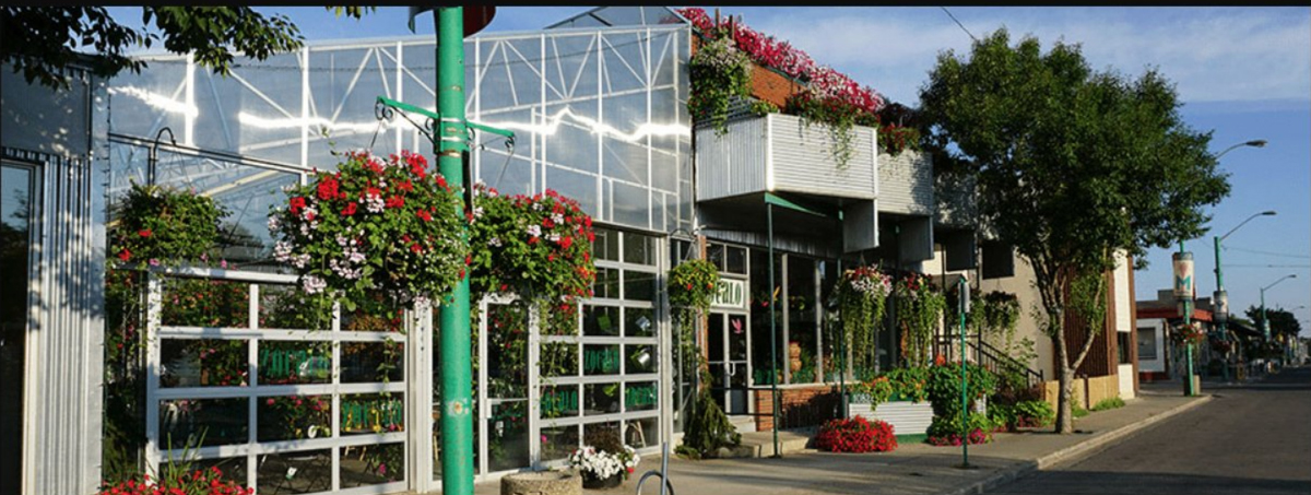 INFO Edmonton (formerly Where Edmonton) tweet media