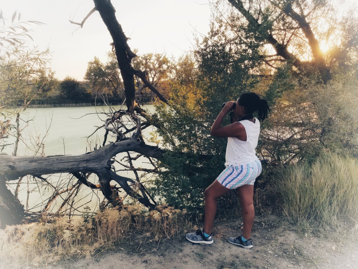 qthetrackcoach's tweet photo. In the waning evening light she just located her lifer Gadwall. #Lifer268 #32ToGo https://t.co/tPWN3aJVH4