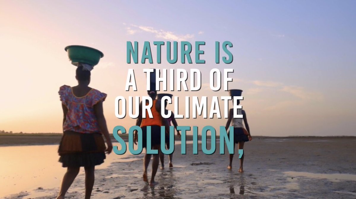 Nature is a third of our climate solution

Yet, receives less than 3% of climate funding

#NatureForLife
#NatureNow

natureforlifehub.org

Watch: vimeo.com/459483371/61dd…