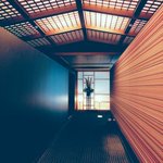 ツイートに含まれる画像