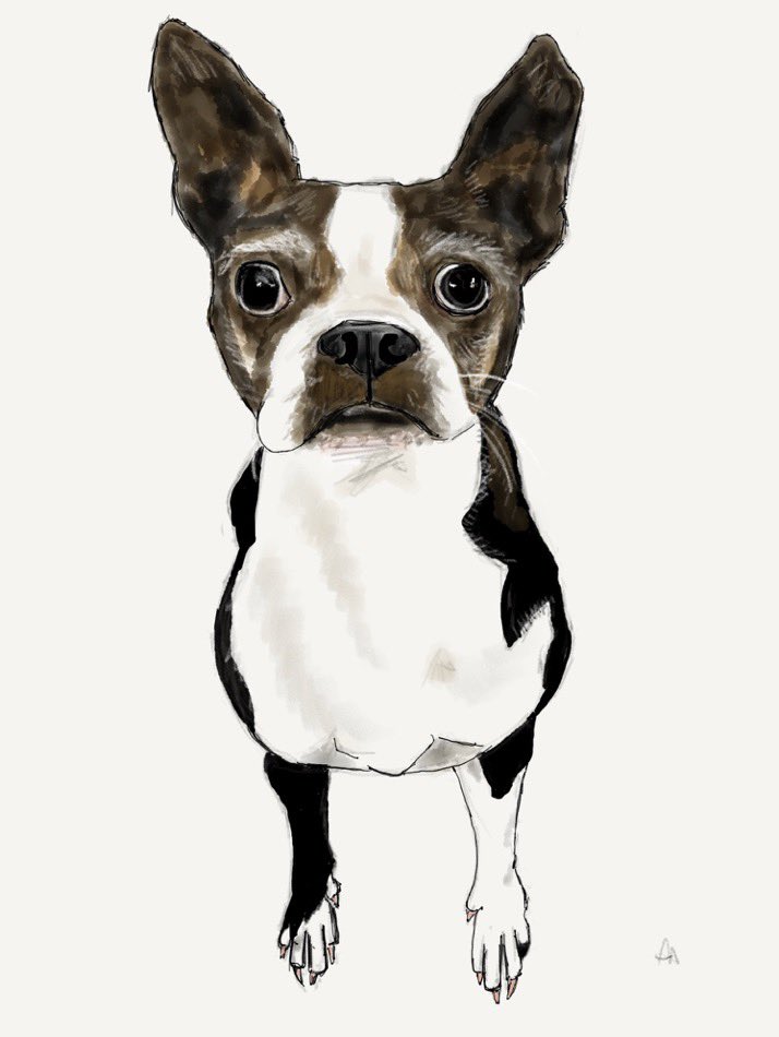 Want a digital portrait of a furry favorite? Available for a limited time. How does it work? Donate to one of these orgs:

The Bail Project: bailproject.org/?form=donate

Ute Land Trust: utelandtrust.org/donate

Trans WOC Collective: twocc.us/donate/

Send receipt and photo!