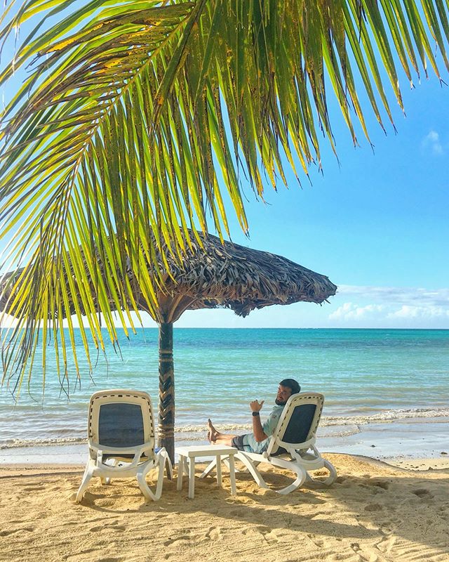 FlySamoaAirways's tweet photo. Flat out in Samoa. It’s a really busy day and the traffic is awful! 🌴
#flysamoaairways #samoa
Fa'afetai 📷. @from.the.harts https://t.co/ZkWr3vFHfs