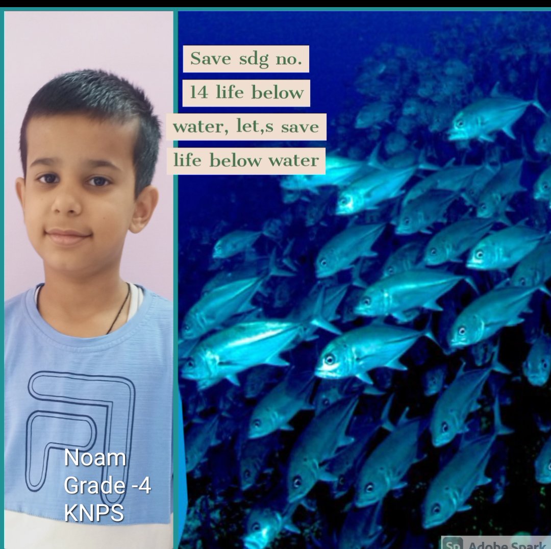AnuSachdeva10's tweet photo. Slognation for promoting SDGs at KNPS.Grade -4 students created beautiful slogans for awareness to support SDGs.
#TurnItAround #ForPeopleForPlanet #Act4SDGs @SDGChoupal @edu_sdg @SDGAction  @unhabitatyouth @RiseUp4SDGs @unesco_mgiep @pkdhillon08 @harpreetmehta23 @shardapullabha2 https://t.co/K5IZSJee9Y