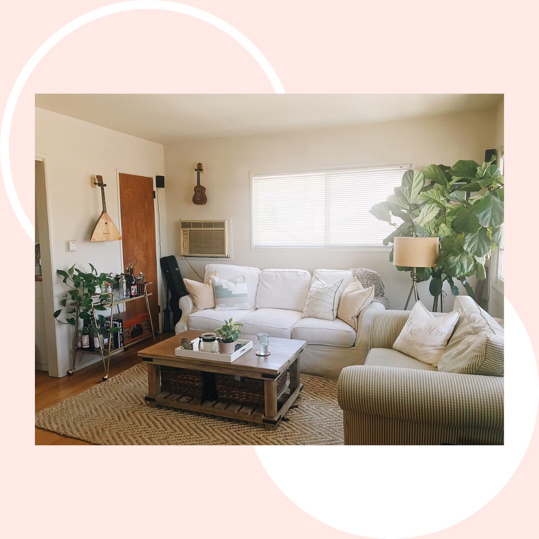 Home is where the house plants are 🌿 And this could be yours if you sign up for #PocketList 💌