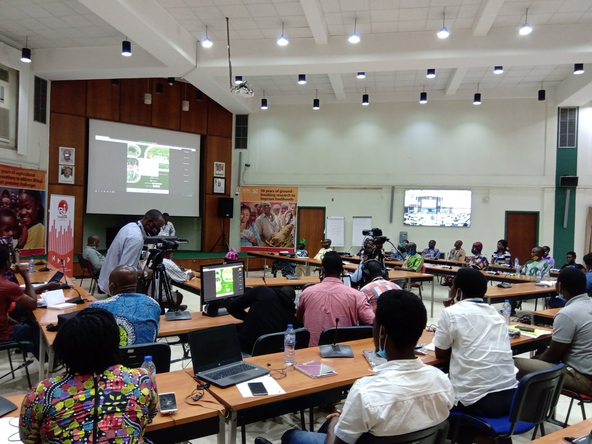 Photos from the stakeholders meeting today both virtually and in person to #Choose new names for Cassava varieties at the <a href="/IITA_CGIAR/">IITA</a> conference center, Ibadan, Oyo state, Nigeria.

#cassavastems #cassava #seed #basics #BASICSII

<a href="/CassavaMatters/">(IITA)CassavaMatters</a> <a href="/NextGenCassava/">NextGen Cassava</a>