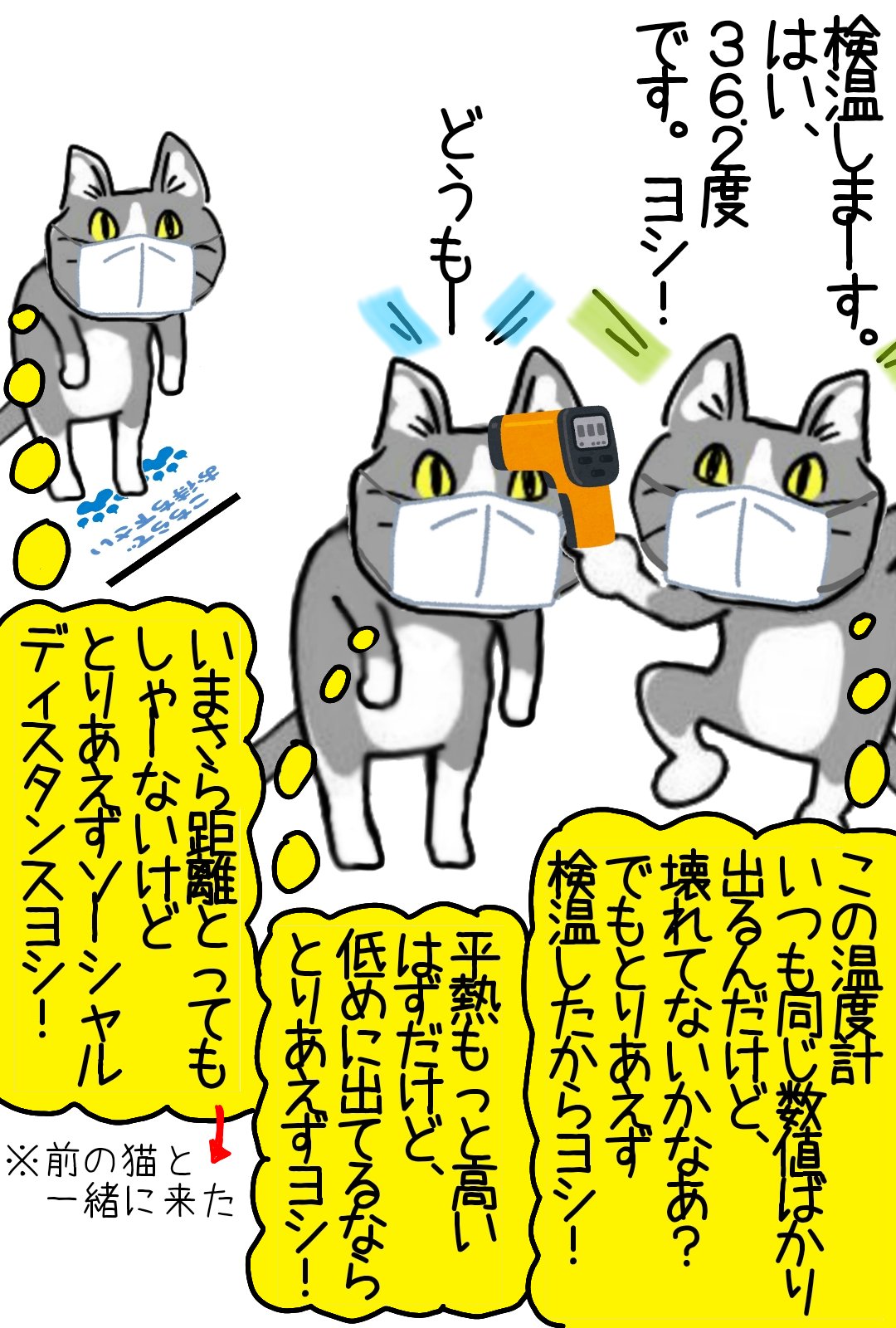 からあげのるつぼ 現場猫だらけの検温風景 現場猫 T Co Imk1r8opim Twitter