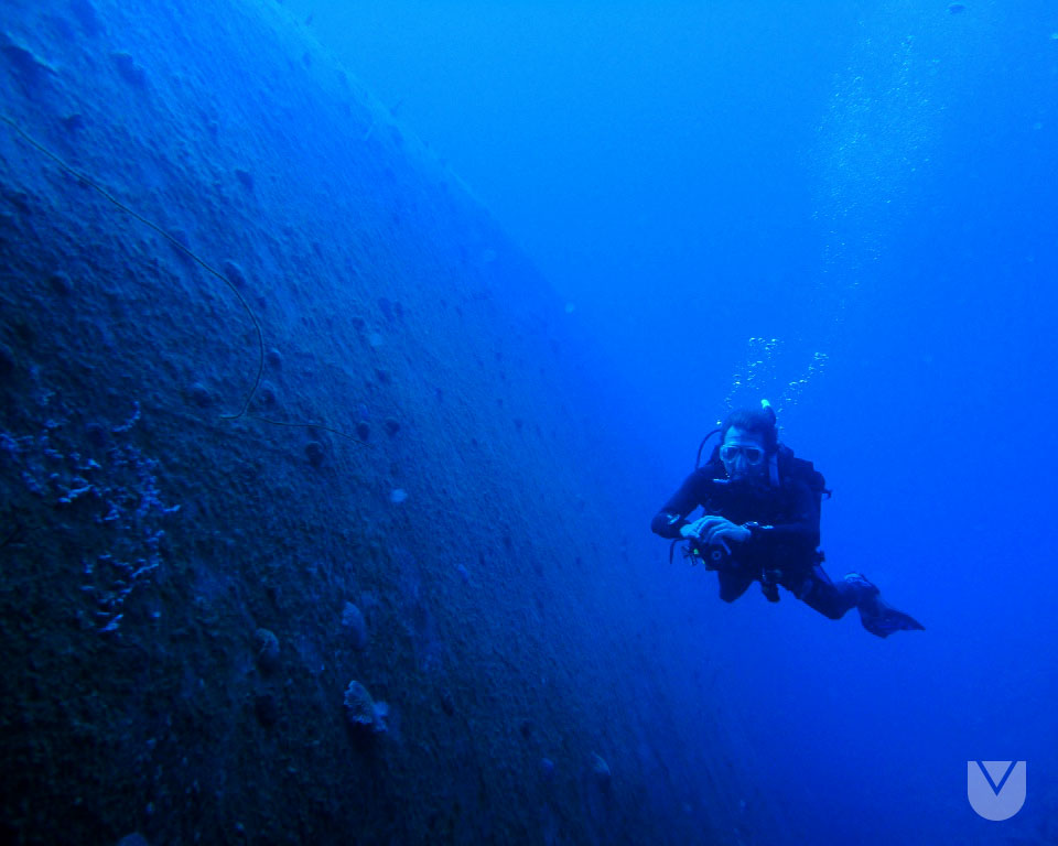 AzulScuba's tweet photo. Buceando el pecio #HilmaHuuker en #Bonaire
#AzulScuba #UnMarDeAventuras #Scuba #BuceoVenezuela #CursoDeBuceo https://t.co/ORSbTMDfCd