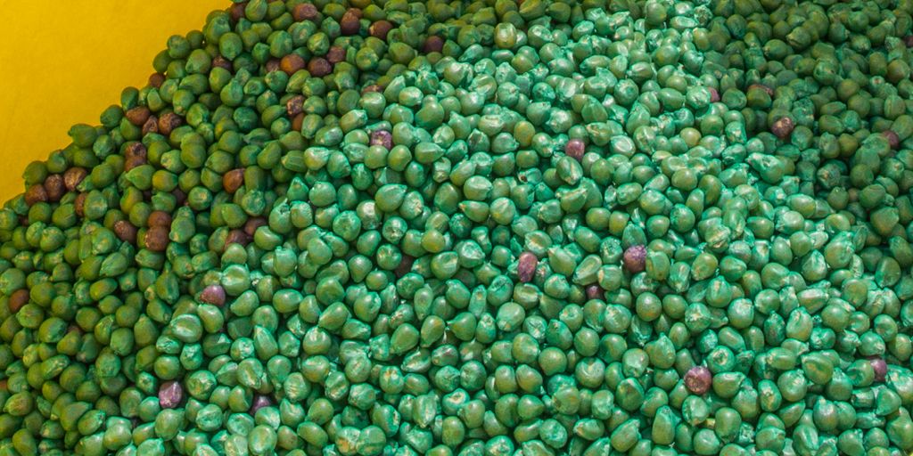 Seed treatments may be the single largest use of neonics in California, yet goes unregulated. Xerces has joined <a href="/NRDC/">NRDC 🌎🏡</a> to ask the California Department of Pesticide Regulation @CA_Pesticides to regulate planting of insecticide-treated seeds as pesticides. buff.ly/3co744e