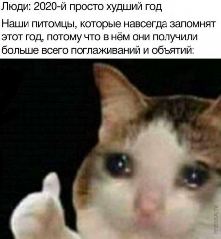 Ужасные мемы (@so_mad_so_funny) on Twitter photo 