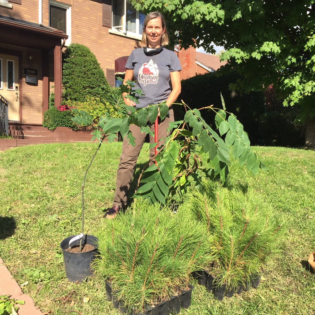 DendronForestry's tweet photo. Happy #NationalTreeDay ! Today I celebrate by acquiring 50 red pine seedlings and 3 deciduous trees to be planted this weekend. In their lifetime, these trees will sequester carbon, provide habitat and food for wildlife, clean the air, all while looking beautiful! 🌲🌳 https://t.co/MO3Thwou4i