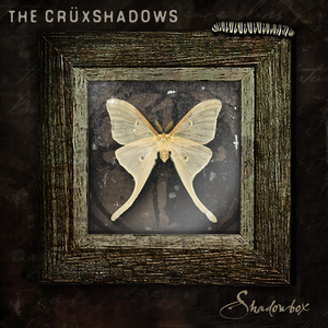 You are missing Winterborn by The Cruxshadows Listen Live at VampiresRadio.com