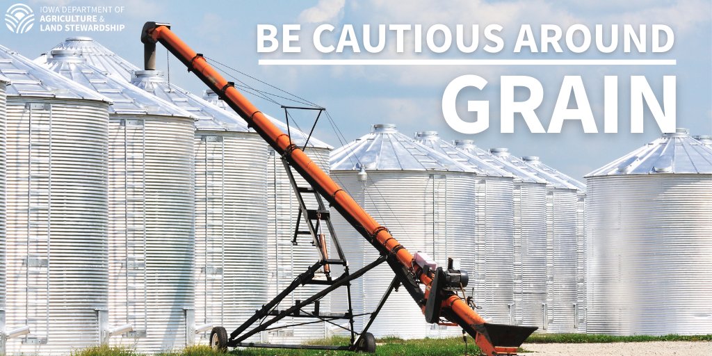 IADeptAg's tweet photo. Use caution when working around stored or flowing grain. You can become entrapped in grain in seconds. Follow these OSHA guidelines to stay safe this fall https://t.co/2zPjpNHXWj. #IowaAg #NFSHW https://t.co/orL9NNYiP7