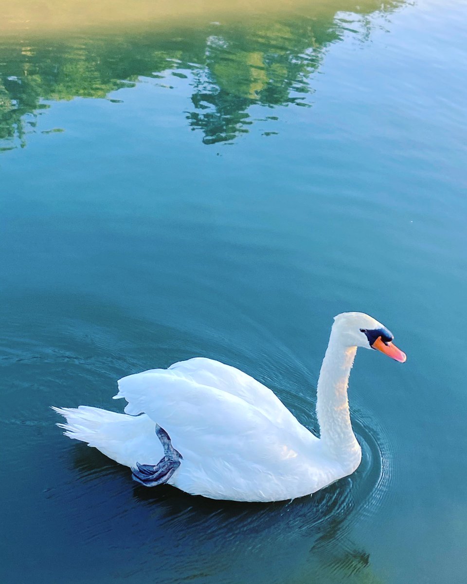 おはようございます

名城公園にて