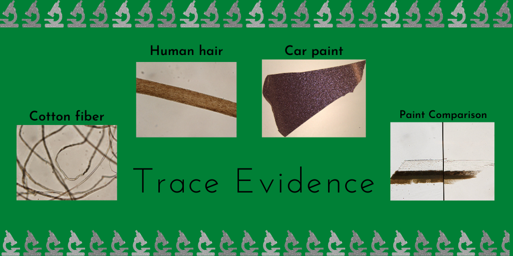 ForensicBites's tweet photo. Trace evidence is a catch all for types of evidence that are usually found in minute amounts, like hair and fibers, glass, paint, tape, fire debris and explosives residues. #ForensicScienceWeek2020 #TraceEvidence https://t.co/grSmCNkcbd