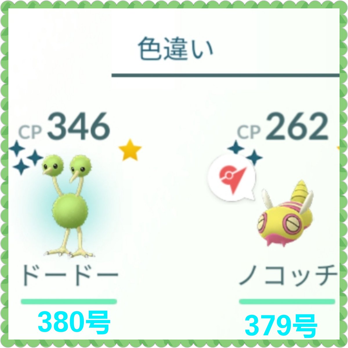 色違いノコッチ Twitter Search 色違いノコッチ Twitter Search