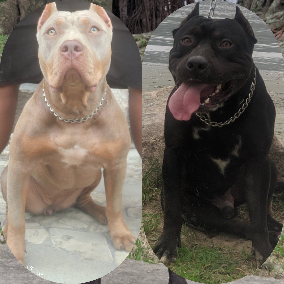 keew_aillon's tweet photo. Aí vem pedrada 🤫🤫 Lisboa&amp;Black https://t.co/GnsQBbLvm9
