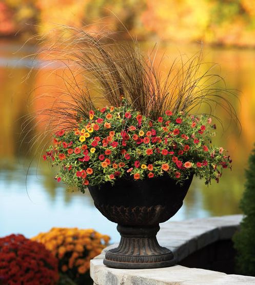 Fall containers might just be the best part of the new season, what do you think?!

Get 21 tips for creating container gardens this fall gardendesign.com/containers/fal…

Photo by Proven Winners #containergarden #fallplanters #gardening #plants #flowers