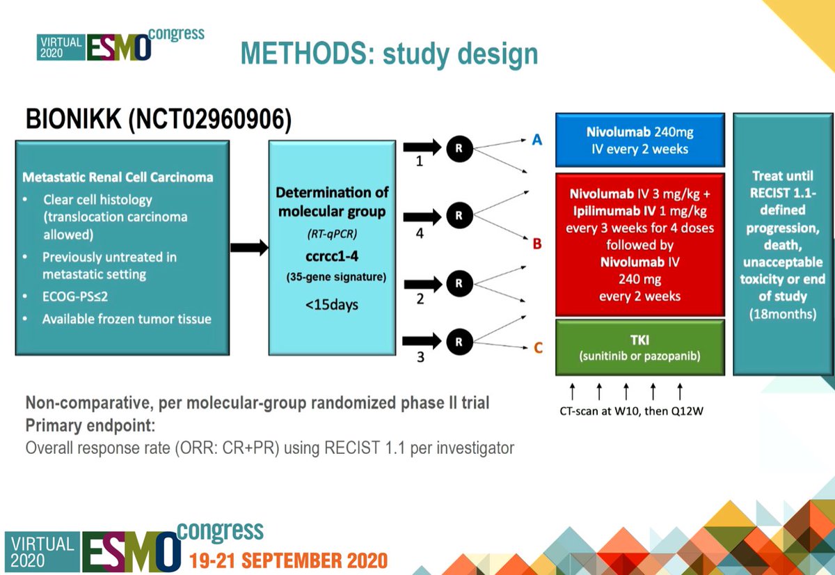 GuOnco's tweet photo. With an elegant study design (umbrella trial), BIONIKK is the 1st randomized clinical trial that provides evidence to guide aRCC 1L therapy (TKI, Nivo alone or Nivo-Ipi), based on molecular group assessment. #ESMO20 #oncogu @CarcanoMD @EZucca @JoaoNeif @DD_Preto https://t.co/KdHocj87nq
