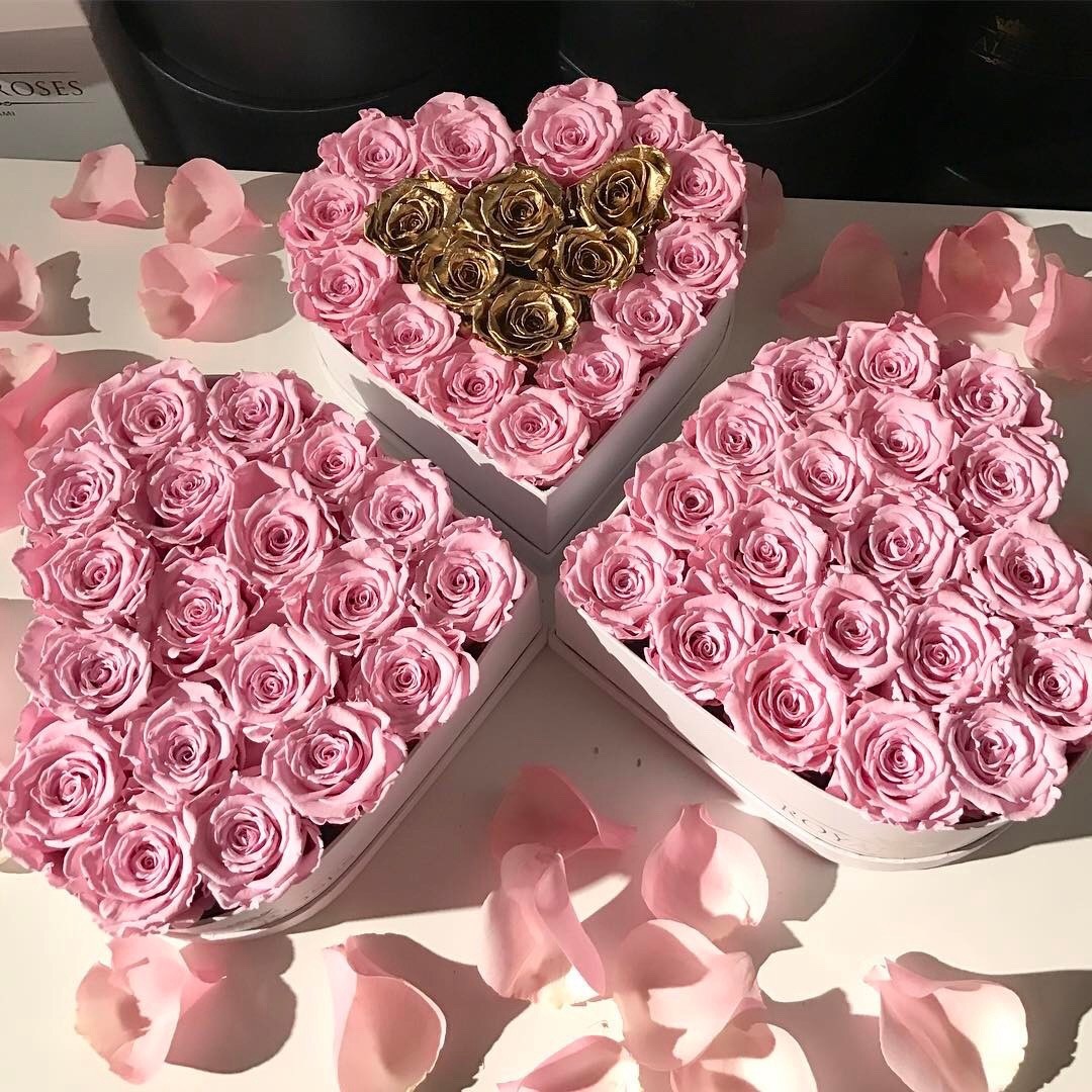 fkPato's tweet photo. ♡ › Para el amor de mi vida, que hoy cumplimos... ¿7? Años juntos. Siete años llenos de amor, tonterías y sacadas de quicio, pero siempre seguimos a flote a pesar de todo. Y aunque últimamente estemos más inactivos, espero sepas que te amo cada día más. 💙

❝ @fkcatbug ❞ https://t.co/BlHQlFCdeZ