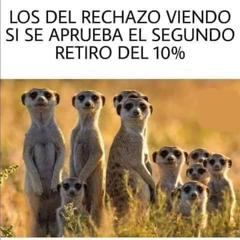 Tezza_Cortes_'s tweet photo. #SegundoRetiro https://t.co/PcQMN1aUyH