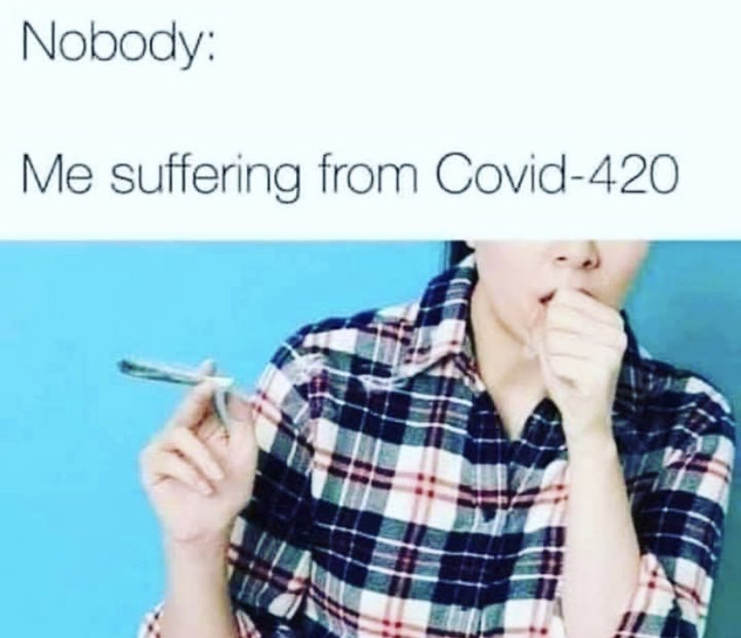 edibledee's tweet photo. 🤷‍♀️ https://t.co/VtqOzfOFmd