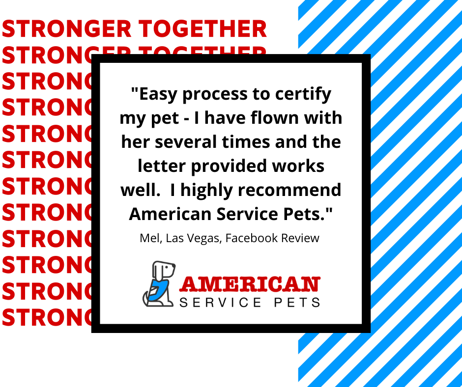 AmServicePets's tweet image. Thank you for choosing American Service Pets!  #americanservicepets #emotionalsupportanimal #esa #flying #inthesky #blueskies #companion #review