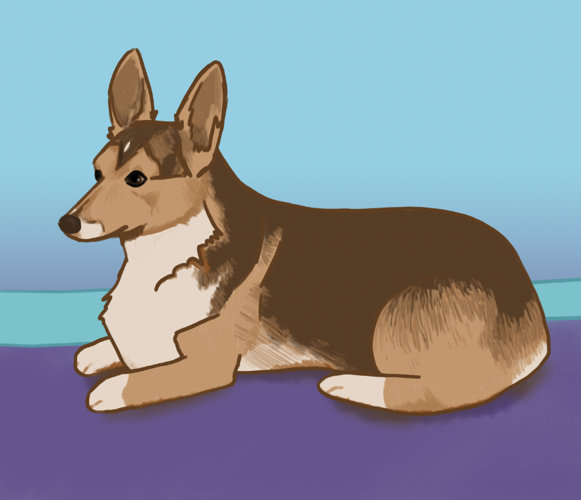 CorgiDay's tweet photo. Yesterday's and today's corgi of the day! Both Boba, two different styles. Both drawn by me! #corgi #corgisoftwitter #dogsoftwitter #corgis #cutecorgis #acorgiaday #kelseylovellecorgis https://t.co/9Q4QYEIbjf