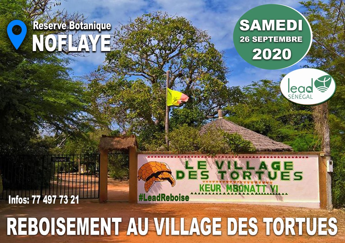 SenegalLead's tweet photo. Pourquoi #DémoPambal, #GuissouMalaMbao et vous étiez pas #AJoal? Pas grave, il reste la quatrième journée de notre campagne de reboisement 2020. Ce samedi 26 septembre nous allons reboiser #keurMbonattYi pour le repeuplement de la foret classée et réserve botanique de Noflaye. https://t.co/CoTVypOry0