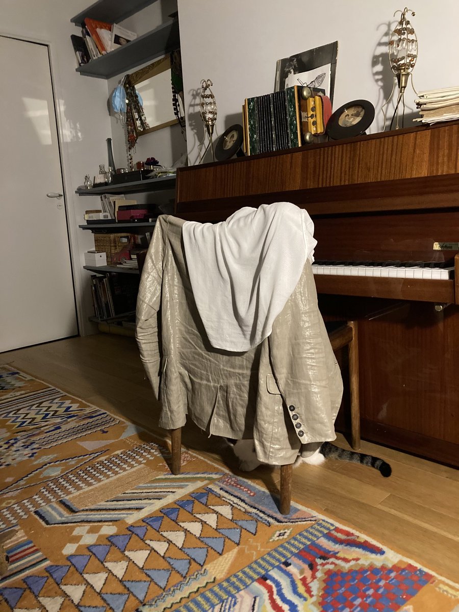 GastonChaChat's tweet image. Chuis #chatcaché !