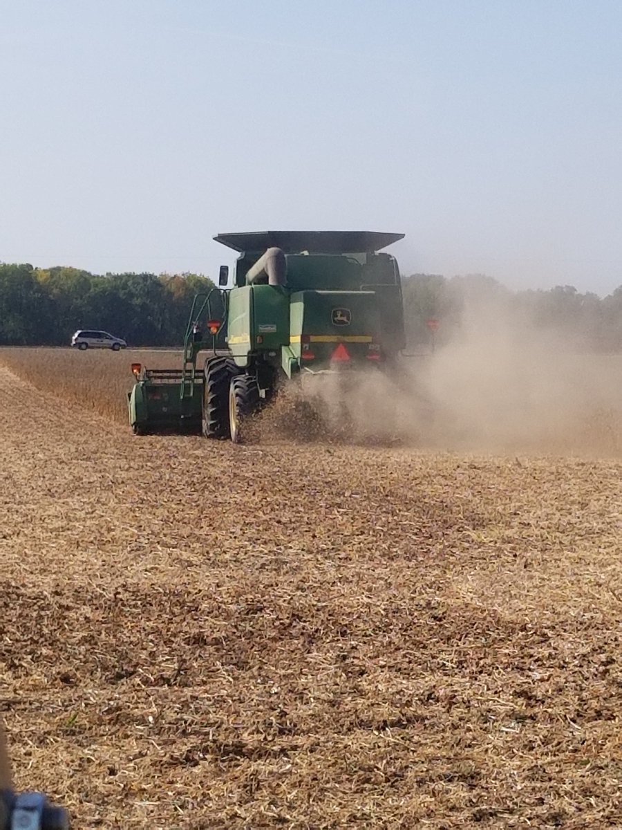 Dust flying <a href="/country_visions/">Country Visions Coop</a> in Chilton as the crew harvests the soybean plot. #harvest20 <a href="/Asgrow_DEKALB/">DEKALB Asgrow Seed</a> <a href="/NKSeeds/">NK Seeds</a> <a href="/CROPLANseed/">CROPLAN_North</a>